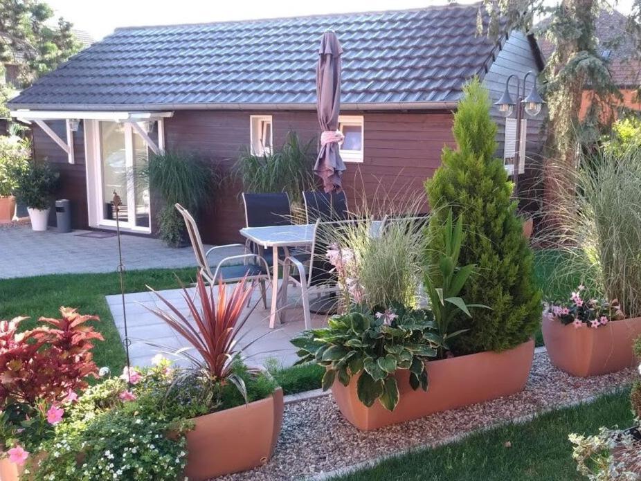 Gites Le P'Tit Paradis Du Ried Sundhouse Zewnętrze zdjęcie